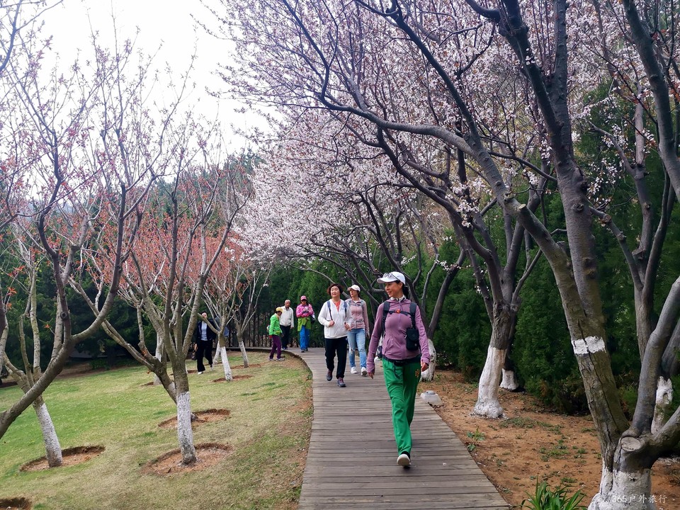 IMG_20220424_140720_edit_140301920919215