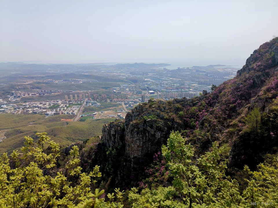 IMG_20220427_101052_edit_17432307885879