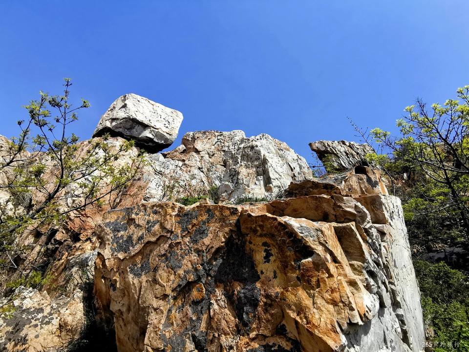 IMG_20220427_103459_edit_17192295635916