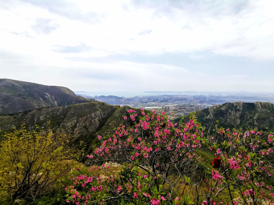 IMG_20220427_111459_edit_16994840486988