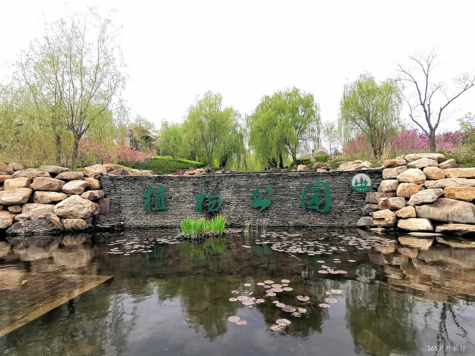 IMG_20220427_125540_edit_16937050575017