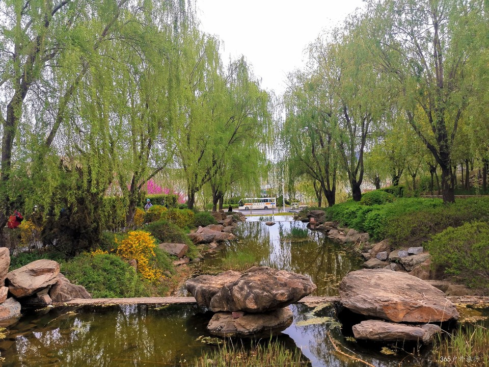 IMG_20220427_125801_edit_16912030463563