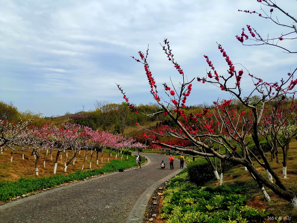 IMG_20220427_142807_edit_16890235060962