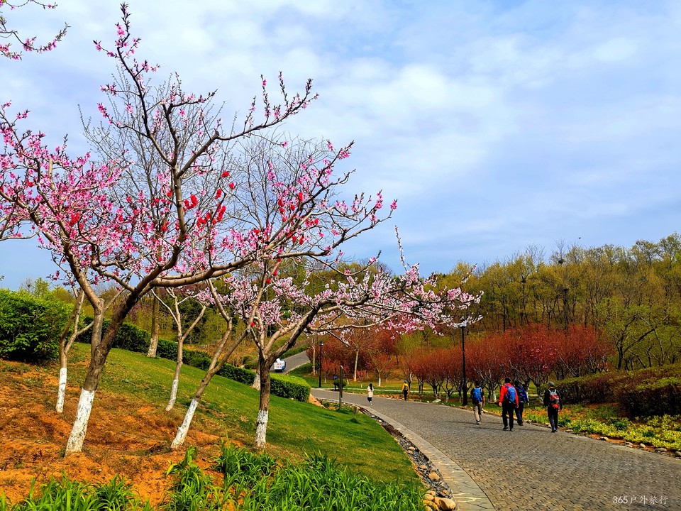 IMG_20220427_142923_edit_16882701871380