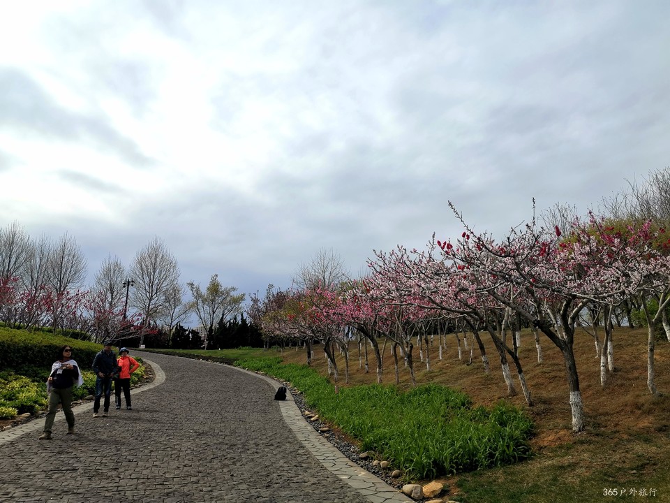 IMG_20220427_143020_edit_16872761356277