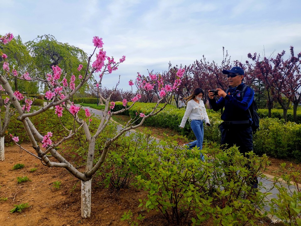 IMG_20220427_143611_edit_16852525562009