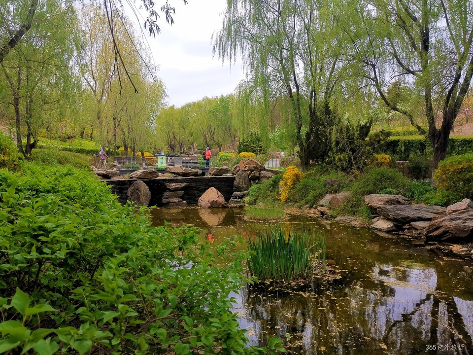 IMG_20220427_145032_edit_16811806992224