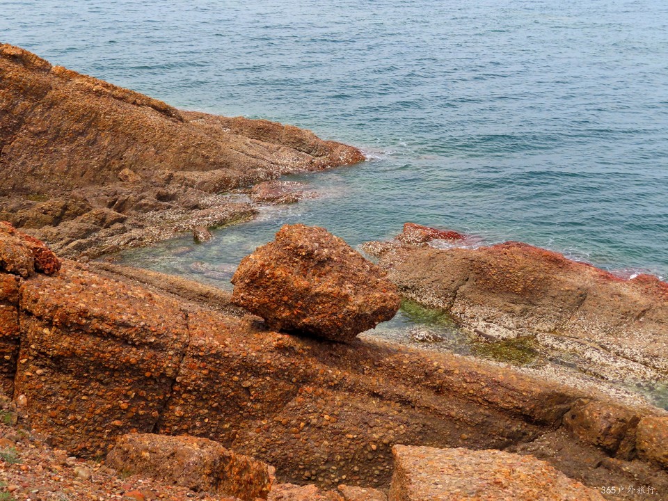 20220501130441_IMG_3964_edit_24751848622262