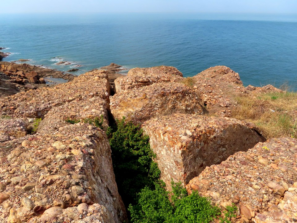 20220501141039_IMG_3990_edit_25016976748784