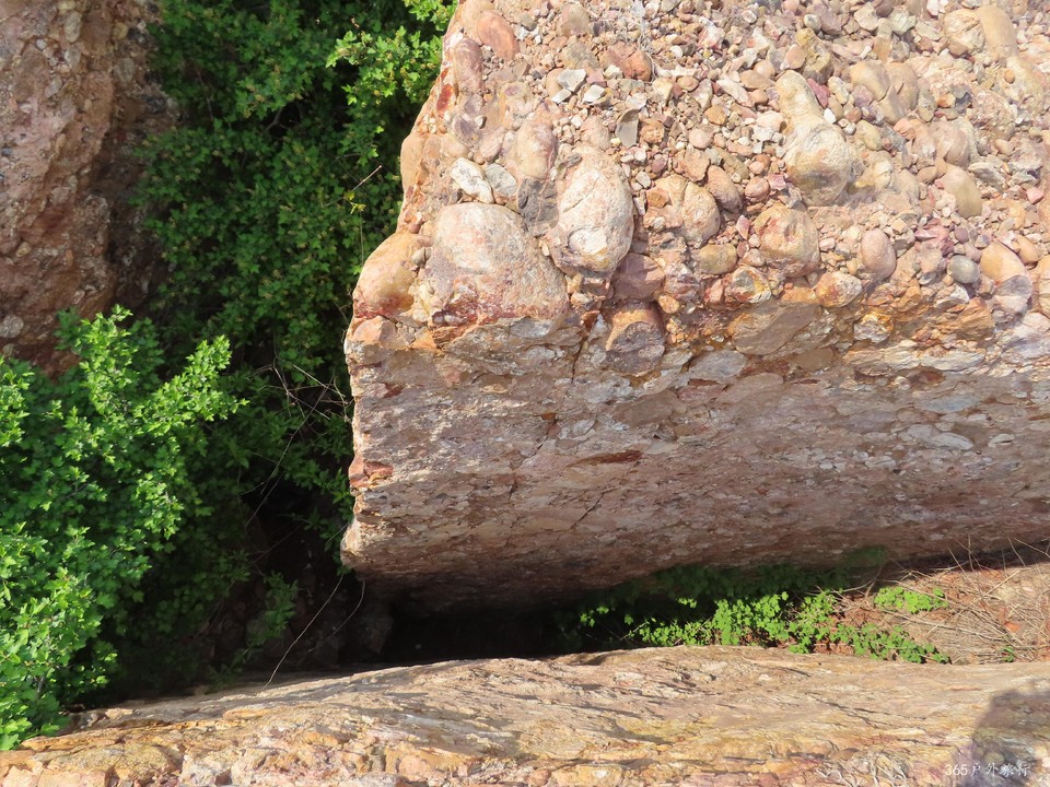 20220501141510_IMG_3995