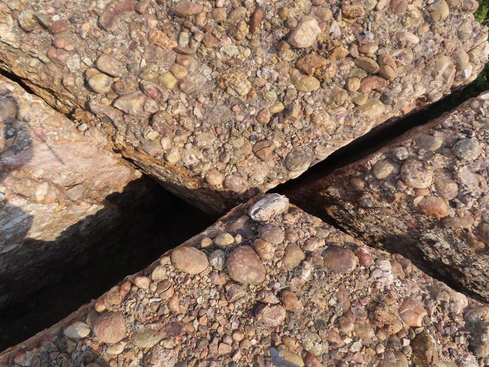 20220501141327_IMG_3992