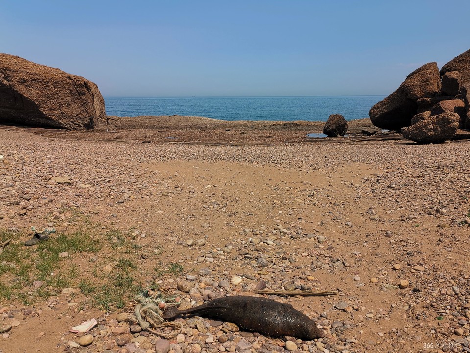 IMG_20220501_112511_edit_26024852396027