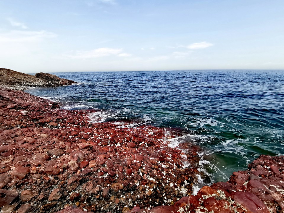 IMG_20220501_122901_edit_5337022896579