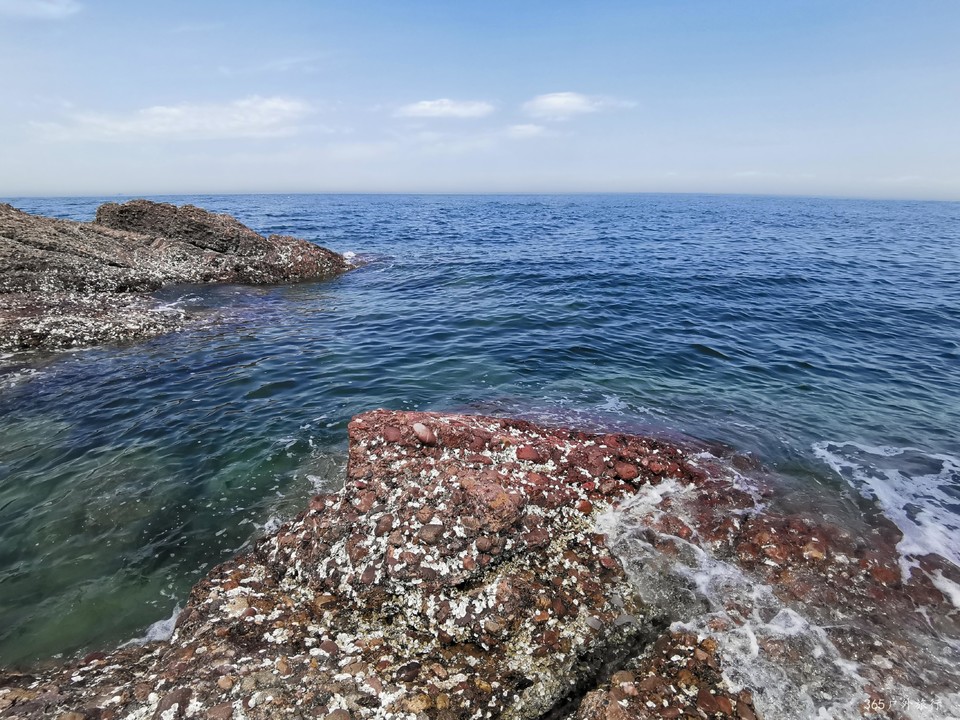 IMG_20220501_123407_edit_5654555468406