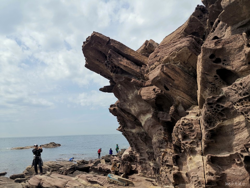 IMG_20220501_133241_edit_25387049346645