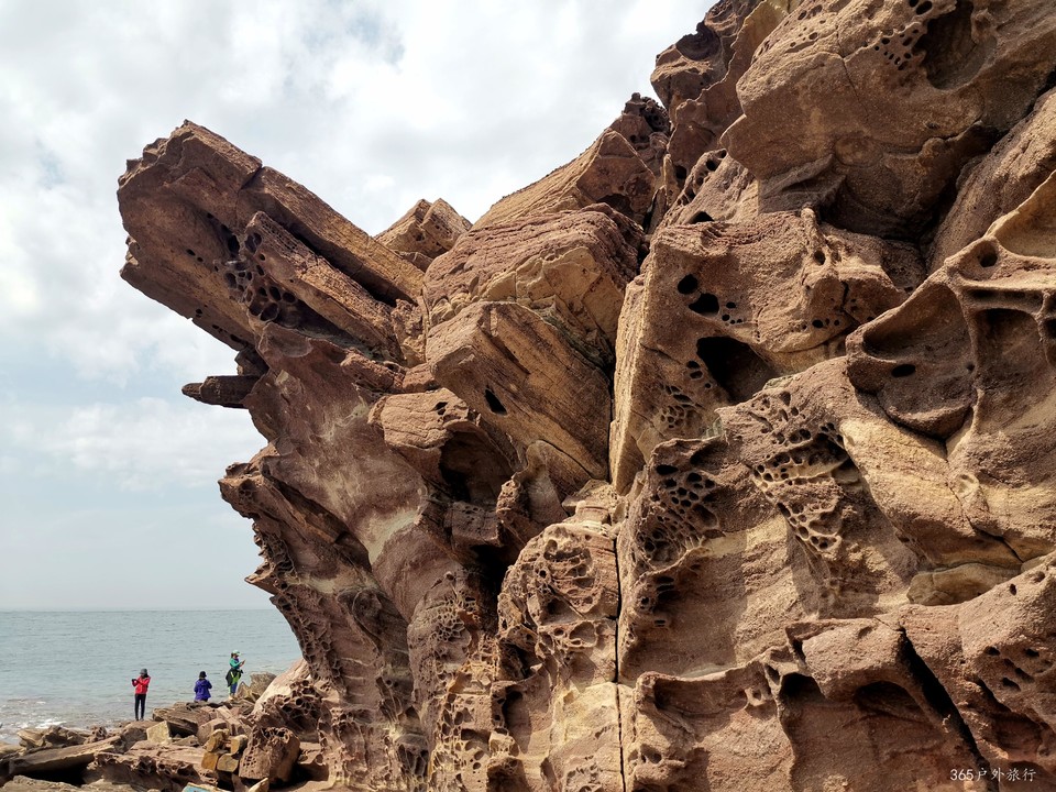 IMG_20220501_133300_edit_25379836331021