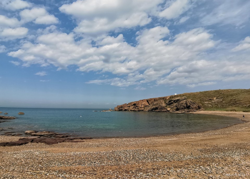 IMG_20220501_135232_edit_25252322378957