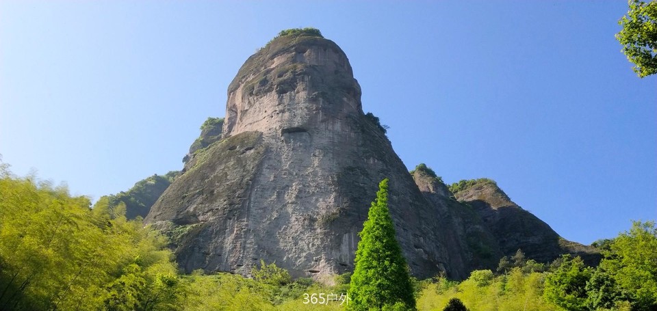 IMG_20180419_082137_Burst01