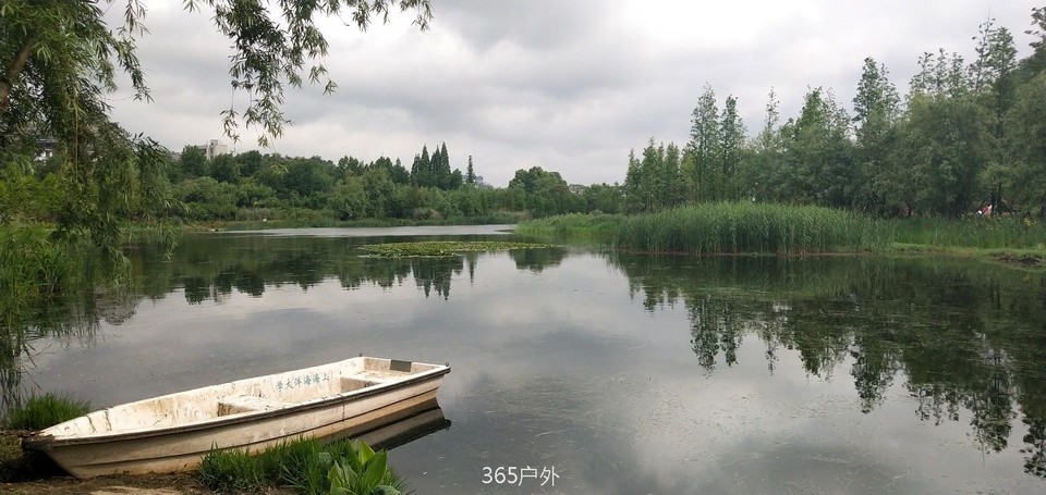 mmexport1524930165574