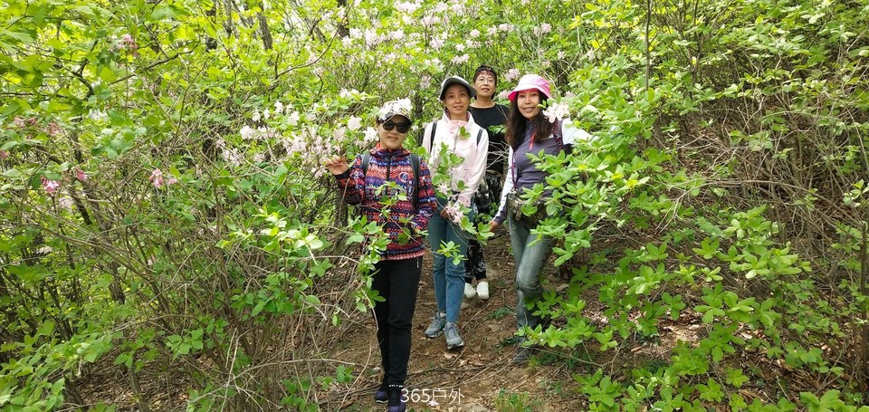 IMG_20180512_121054_Burst01