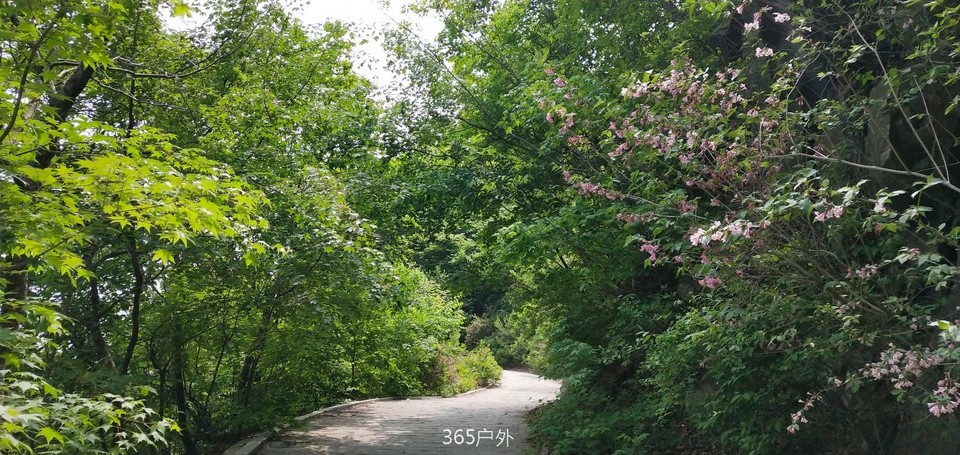 IMG_20180512_105402_Burst01