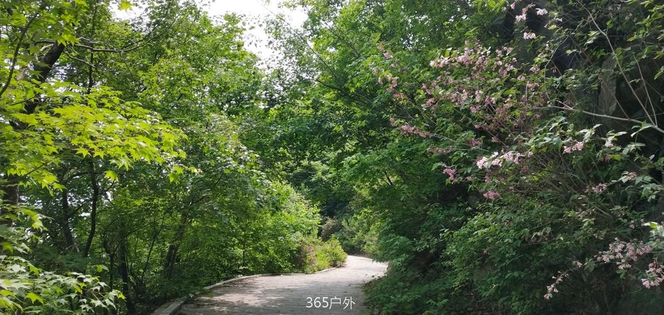 IMG_20180512_105402_Burst05