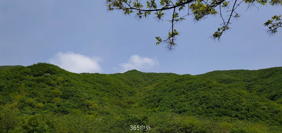 IMG_20180512_105331_Burst01