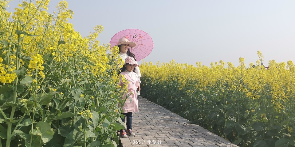 IMG_20190406_083924_mh1554511389187