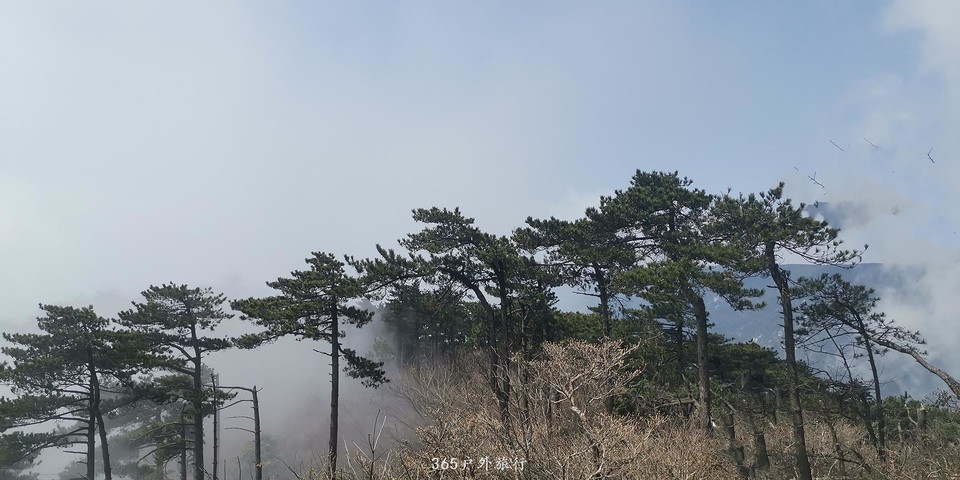 IMG_20190325_121049_mh1553522783099