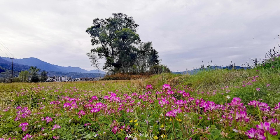 IMG_20190326_134512_mh1553579207524