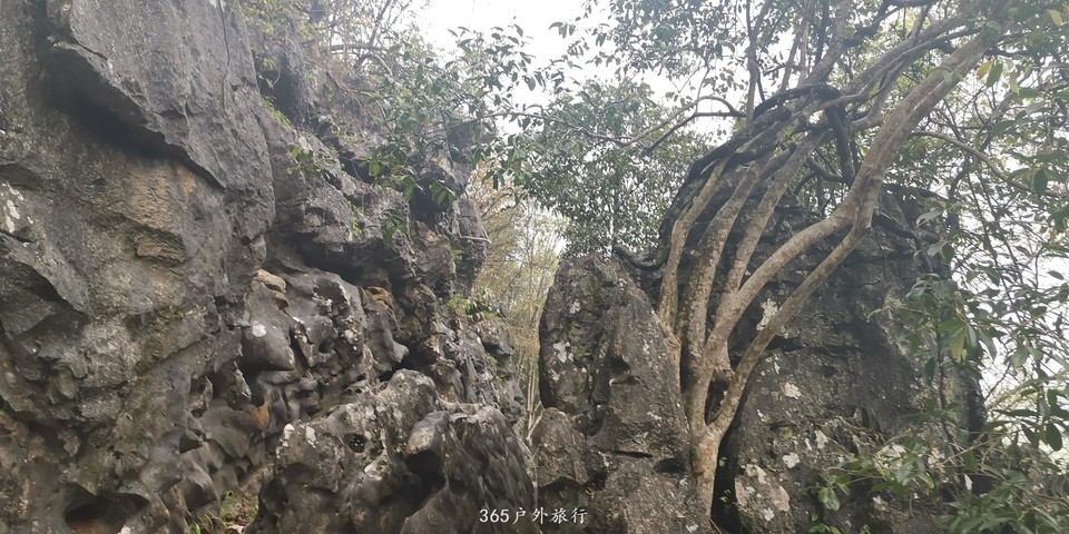 IMG_20190327_095530_BURST001_COVER