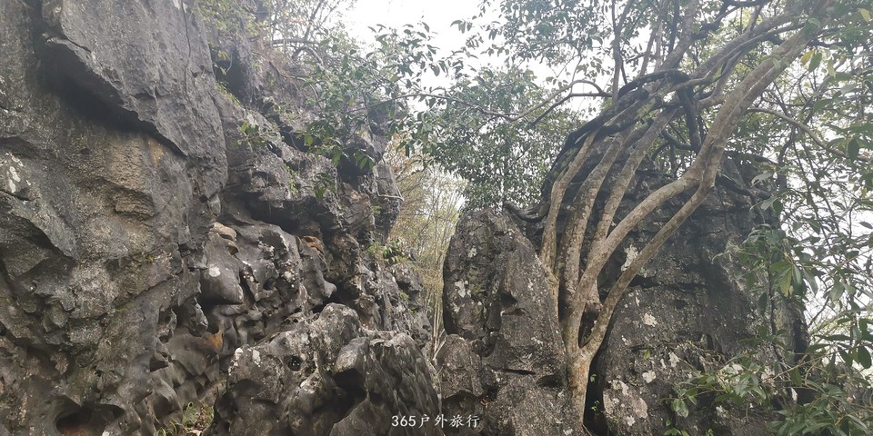 IMG_20190327_095530_BURST002