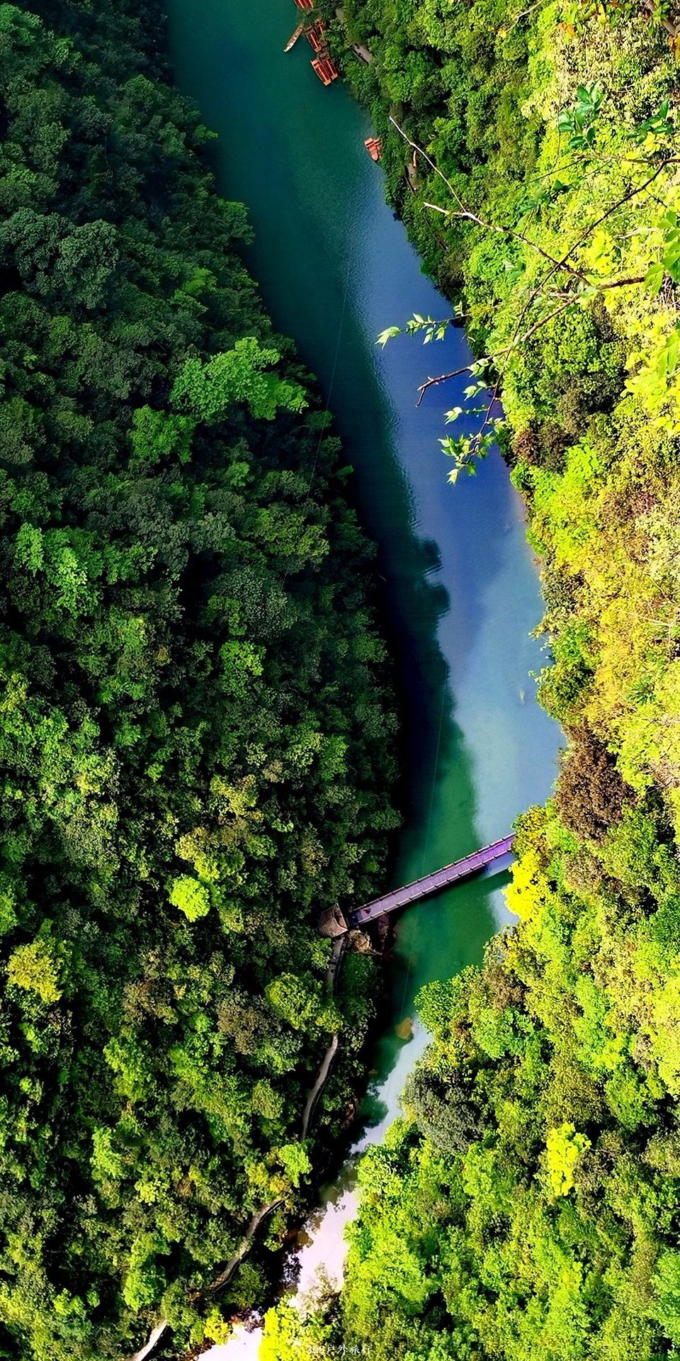 IMG_20190503_153046_mh1556979781122