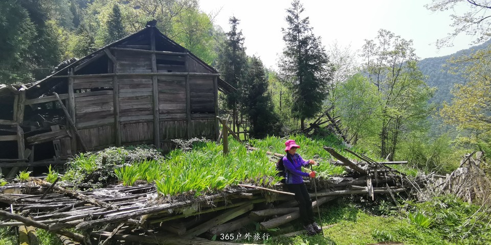 IMG_20190424_111010_BURST001_COVER