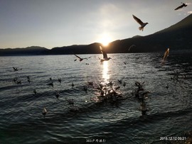 mmexport1544577738061