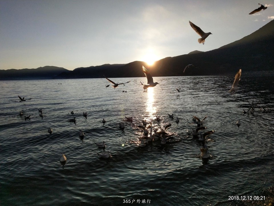 mmexport1544577738061