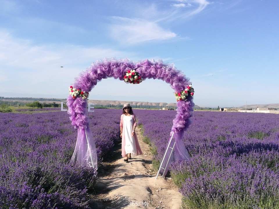 IMG_20180624_095654_1