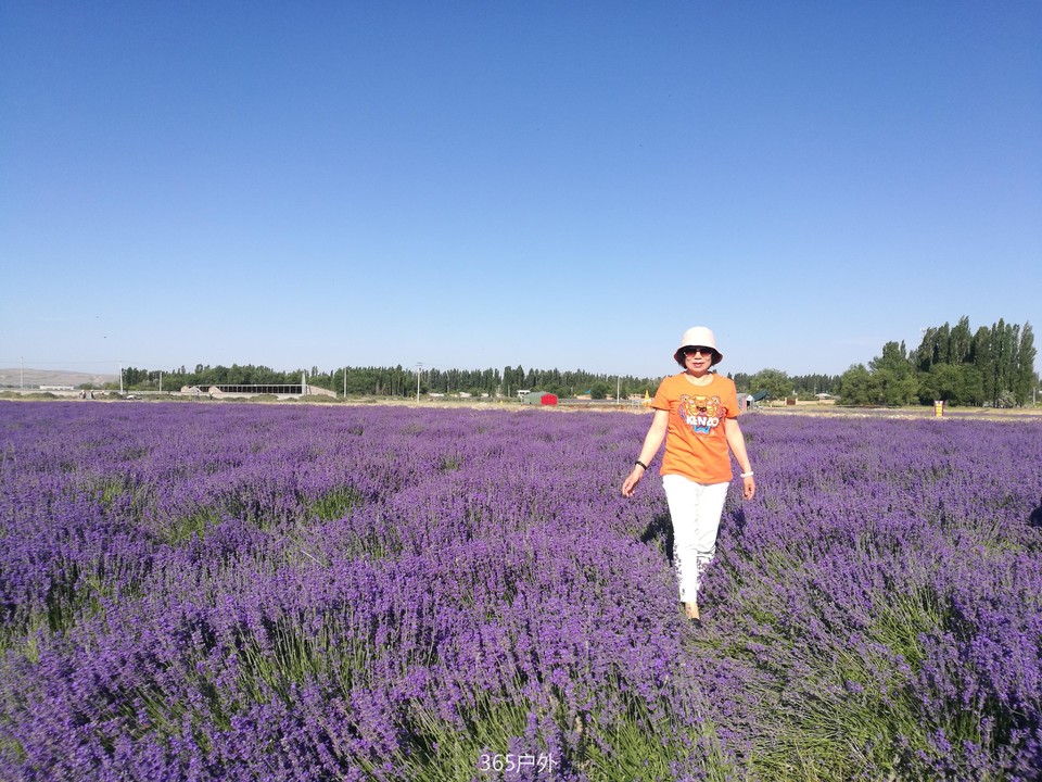 IMG_20180624_095930_1