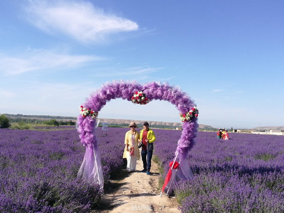 IMG_20180624_101303_1