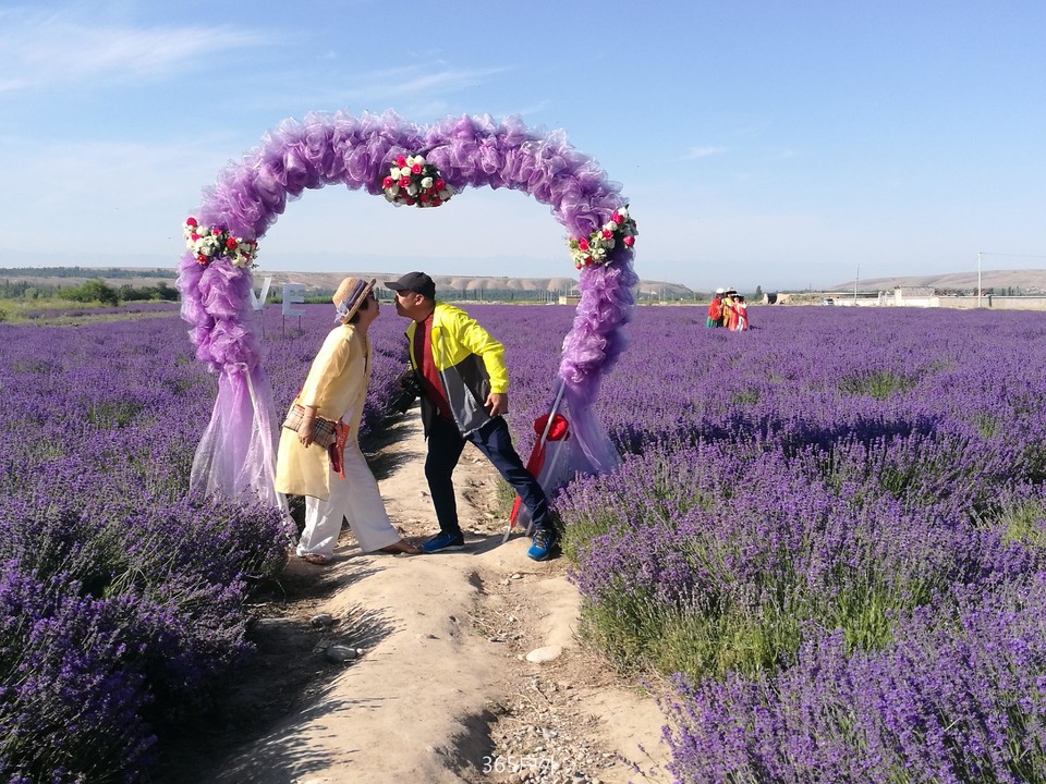 IMG_20180624_101322_1