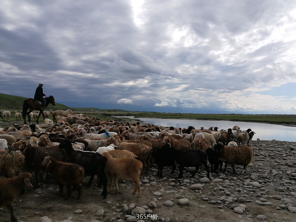 IMG_20180625_172017_1