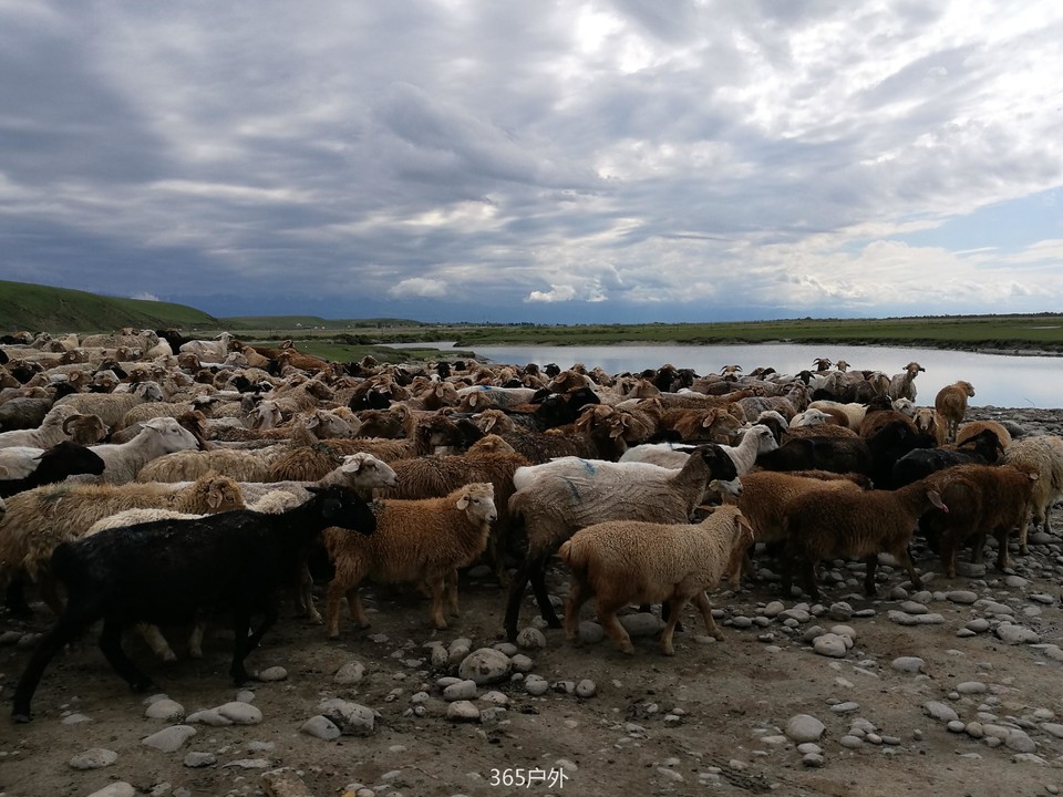 IMG_20180625_172042_1