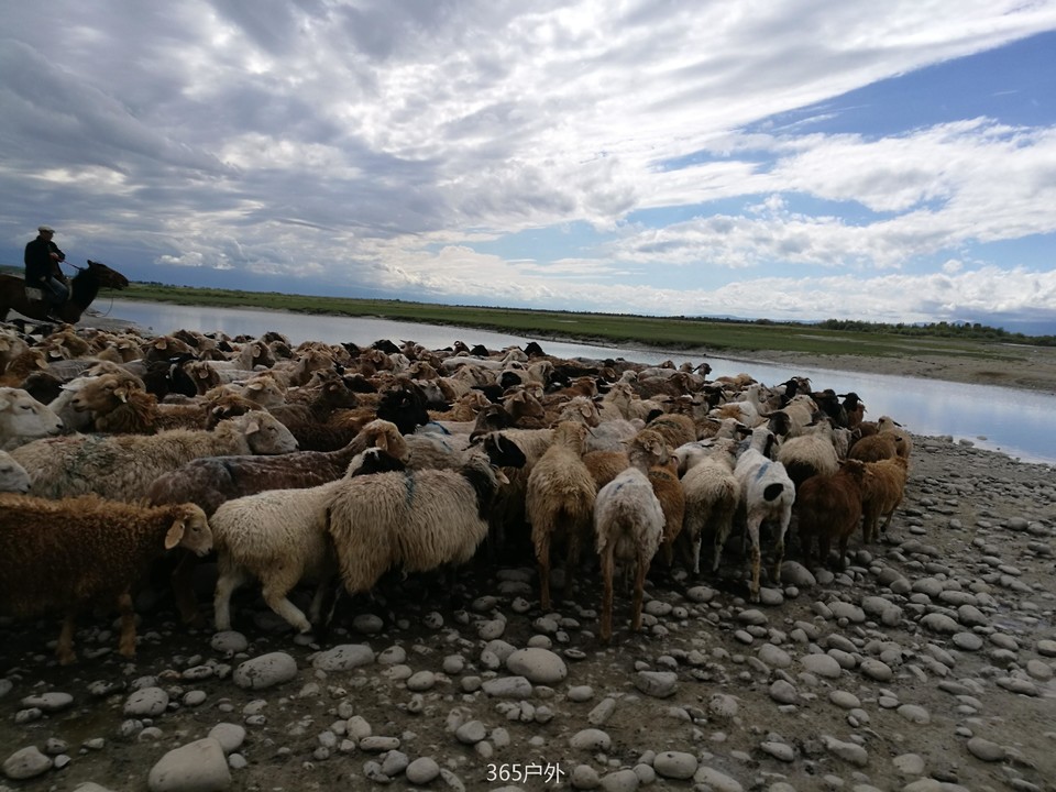 IMG_20180625_172107_1