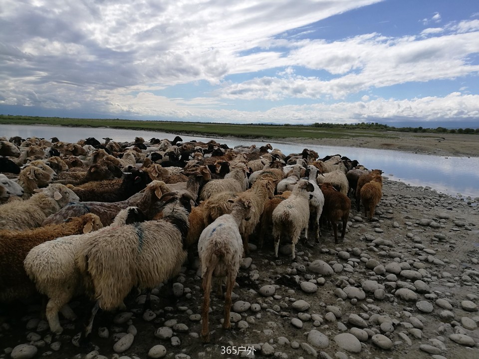 IMG_20180625_172109_1