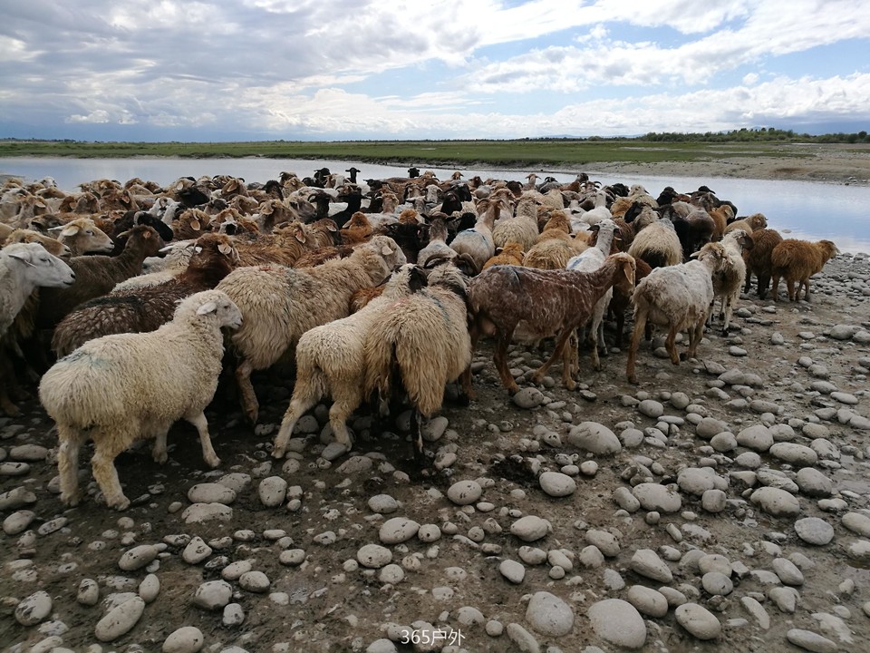 IMG_20180625_172114_1