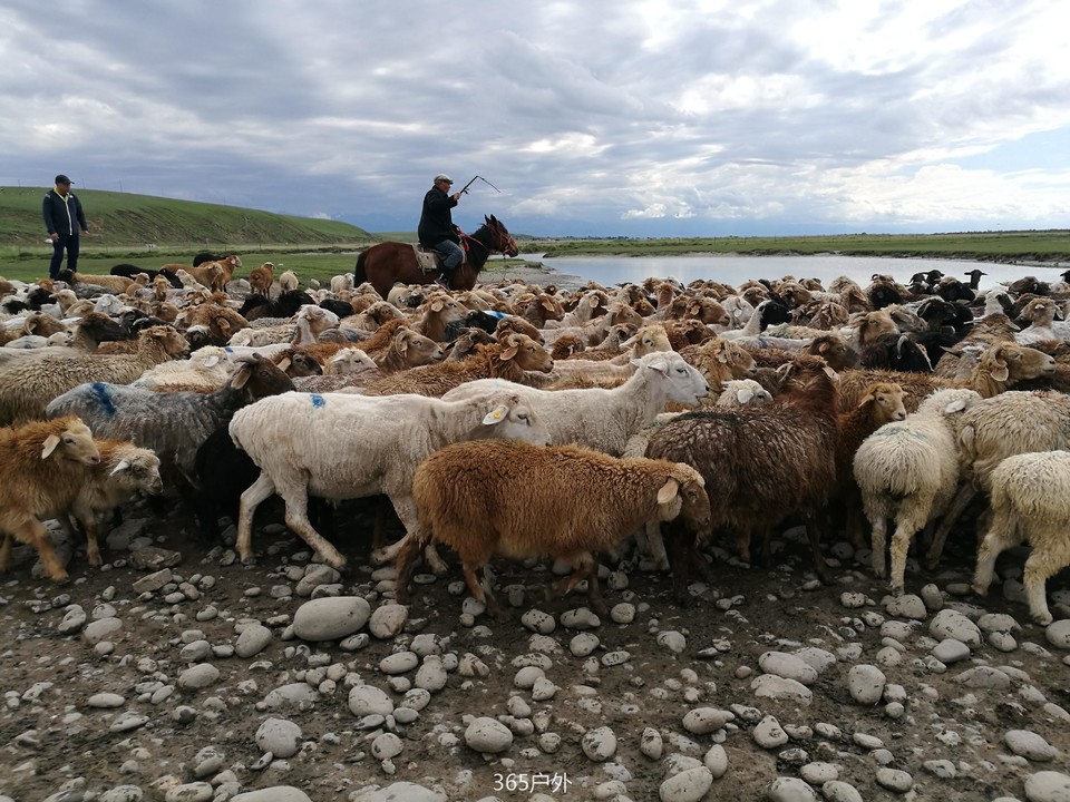 IMG_20180625_172117_1