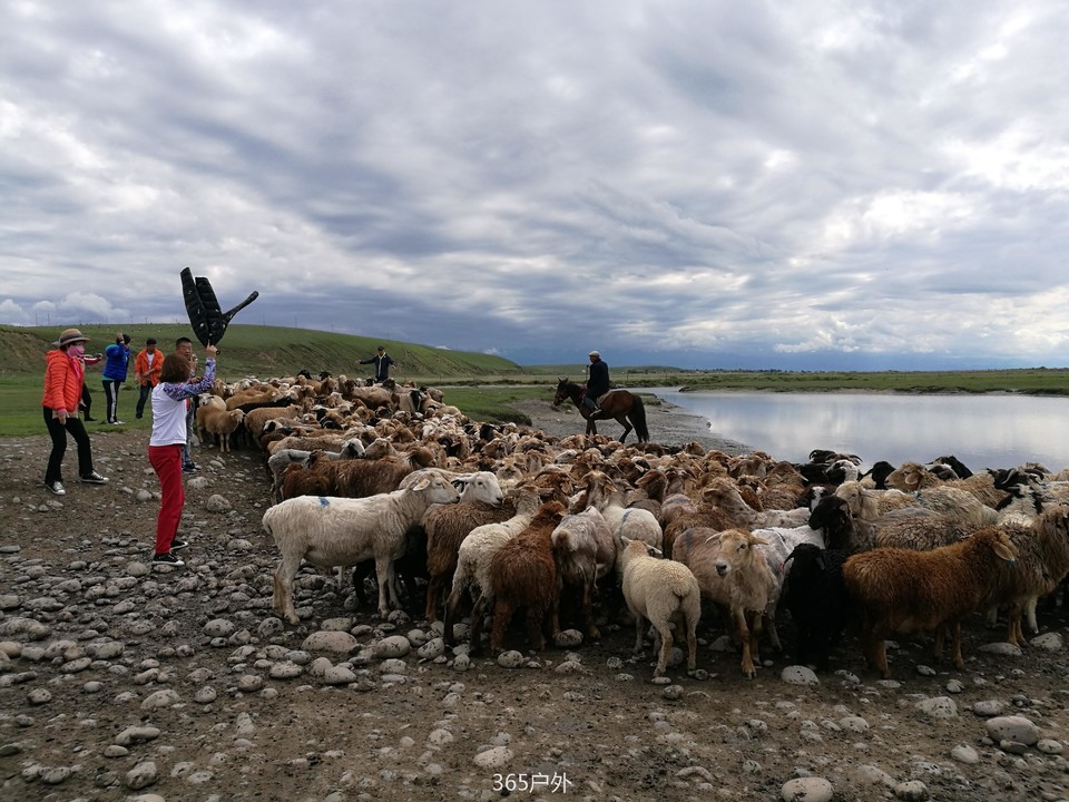 IMG_20180625_172316_1