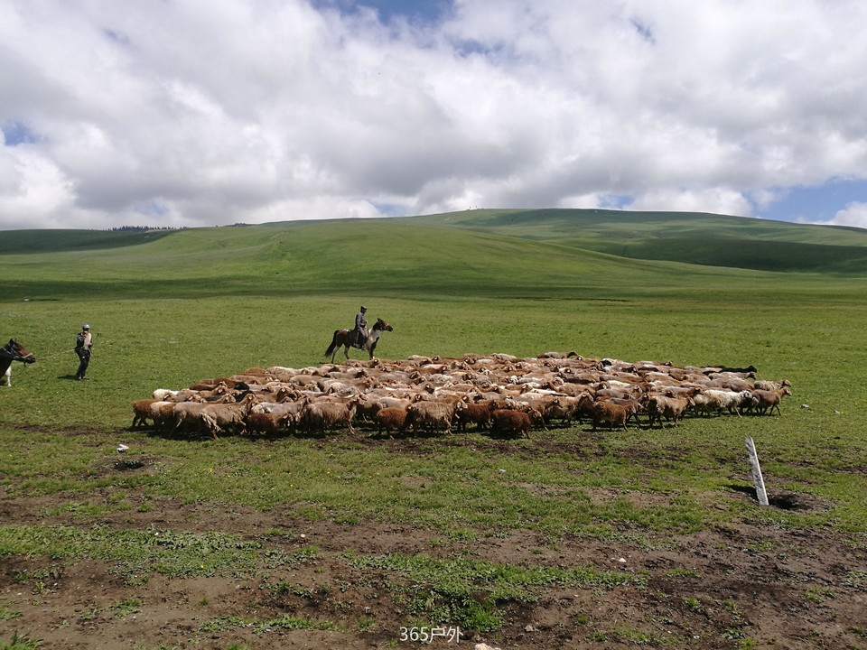 IMG_20180626_125955_1