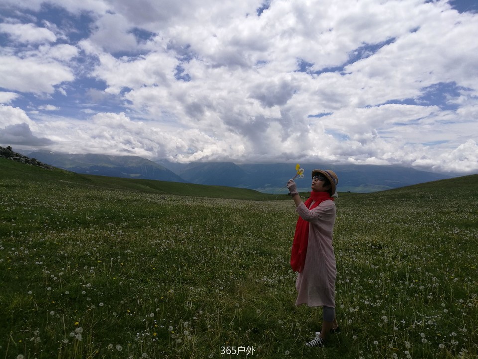 IMG_20180626_144335_7