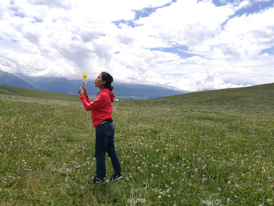 IMG_20180626_144538_1